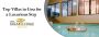 Luxury villas in goa- The Kikar Villas, Anjuna
