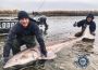 Kilby Lodge - Best fishing spot finder