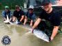 Sturgeon fishing in Chilliwack - Kilby Lodge