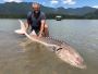 Sturgeon fishing in BC from Kilby Lodge Sturgeon fishing in BC from Kilby Lodge