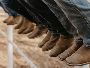 Top-Quality Work Boots for Outdoor Jobs in Australia