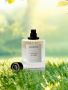 Figure It Out—Kimirica Perfume Collection for You