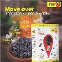 Buy Premium Quality Black Dry Grapes Online – Fresh & Natura