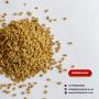 Buy Premium Fenugreek Whole Seeds – Bulk Spice at Best Price