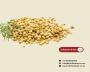 Get Premium Quality Coriander Whole at the Wholesale Price