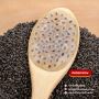 Premium Quality Tukmaria (Basil Seeds) Available at Best Pri