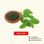 Buy Wholesale Tulsi Leaf – Bulk Orders Available
