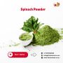 Wholesale Spinach Powder for Restaurants, Retailers & Health