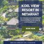 Unwind at Koel View Resort: A Hidden Gem in Netarhat