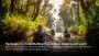Kolad River Rafting Packages – Book Your Adventure Today