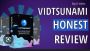 VidTsunami reviews
