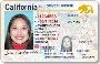 Understanding the California Driver's License A Comprehensiv