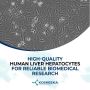 High-Quality Human Liver Hepatocytes for Reliable Biomedical