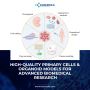 High-Quality Primary Cells & Organoid Models for Research