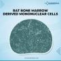 Rat Bone Marrow Derived Mononuclear Cells || Kosheeka