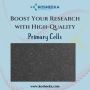 Boost Your Research with High-Quality Primary Cells