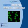 Kosheeka: Making your animal cell culture easier Kosheeka: Making your animal cell culture easier