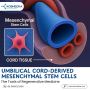 Umbilical Cord-Derived Mesenchymal Stem Cells: The Tools of 
