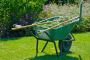 Best Landscaping Services in North Shore, Sydney.