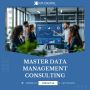 Master Data Management Consulting | KPI Digital Solutions