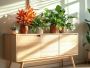 Plywood Manufacturers in India