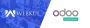 Odoo Sales and eCommerce Implementation Services - Webkul