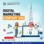 Digital Marketing | SEO Agency | SMO Services |  Ecommerce D