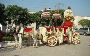 Band in zirakpur