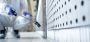 Pest Control Service in Mississauga - KSG Pest Control Inc