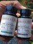  CBD Softgels 10 mg | Kuma Organics