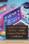Learn UX/UI Design – Join Our Expert-Led Bootcamp at UX UI O