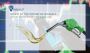 Best Biofuel Stocks in India Best Biofuel Stocks in India