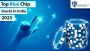 Best Blue Chip Stocks in India to Add to Your Portfolio
