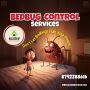 Effective Bed Bug Treatment in Bangalore Effective Bed Bug Treatment in Bangalore