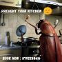 Cockroach Pest Control Services Cockroach Pest Control Services