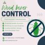 Wood Borer Control Services in Bangalore – Protect Your Wood