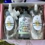 Checkout For Natural Antibacterial Cleaner Online In USA