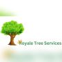 Tree Removal Sydney - Royale tree service