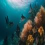 Preserving Marine Ecosystems: A Vital Key to Earth's Biodive