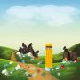 Efficient Waste Management & Recycling Solutions for a Green