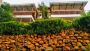New Rooms of Lake Bunyonyi Rock Resort New Rooms of Lake Bunyonyi Rock Resort