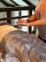 Reclaim Wellness with Gentle and Effective Care