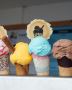 Lamarti's: Best Ice Cream in Norwich! Luxury Vans for Every 