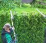 Your Local Lawn Care Experts | Land Love Lawn Maintenance, L
