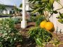 Expertly Designed Living Spaces in Anaheim | Land Mechanics,