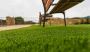  Synthetic Grass Contractor Sydney – Affordable Turf Service