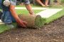 Turf Laying Services Sydney