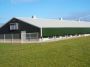 Poultry Shed Manufacturer in Hyderabad