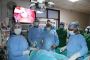 Fellowship and Diploma in Minimal Access Surgery 