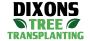 Large Tree Transplanting
